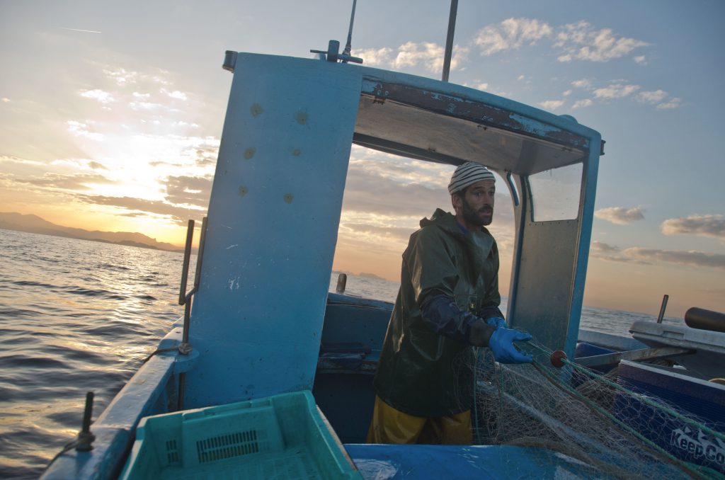 le_poisson_retrouvé